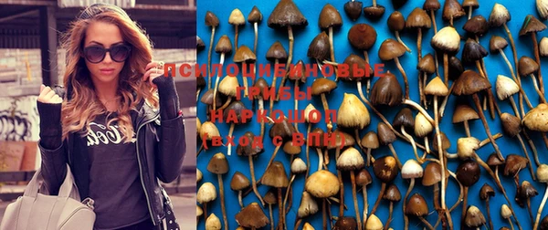 spice Медвежьегорск