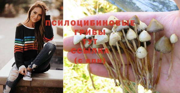 первитин Мегион