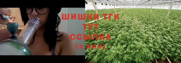 spice Медвежьегорск