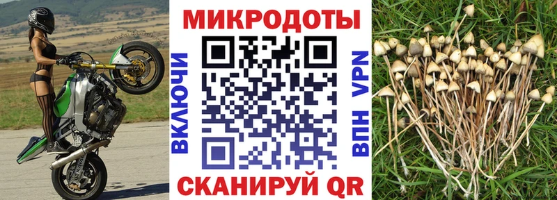 гидра tor  Юхнов  Псилоцибиновые грибы мицелий  наркота 